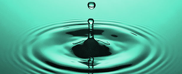 hygienic design - conception hygiénique - quality control - contrôle qualité - risks - risques - team training - formation des équipes
