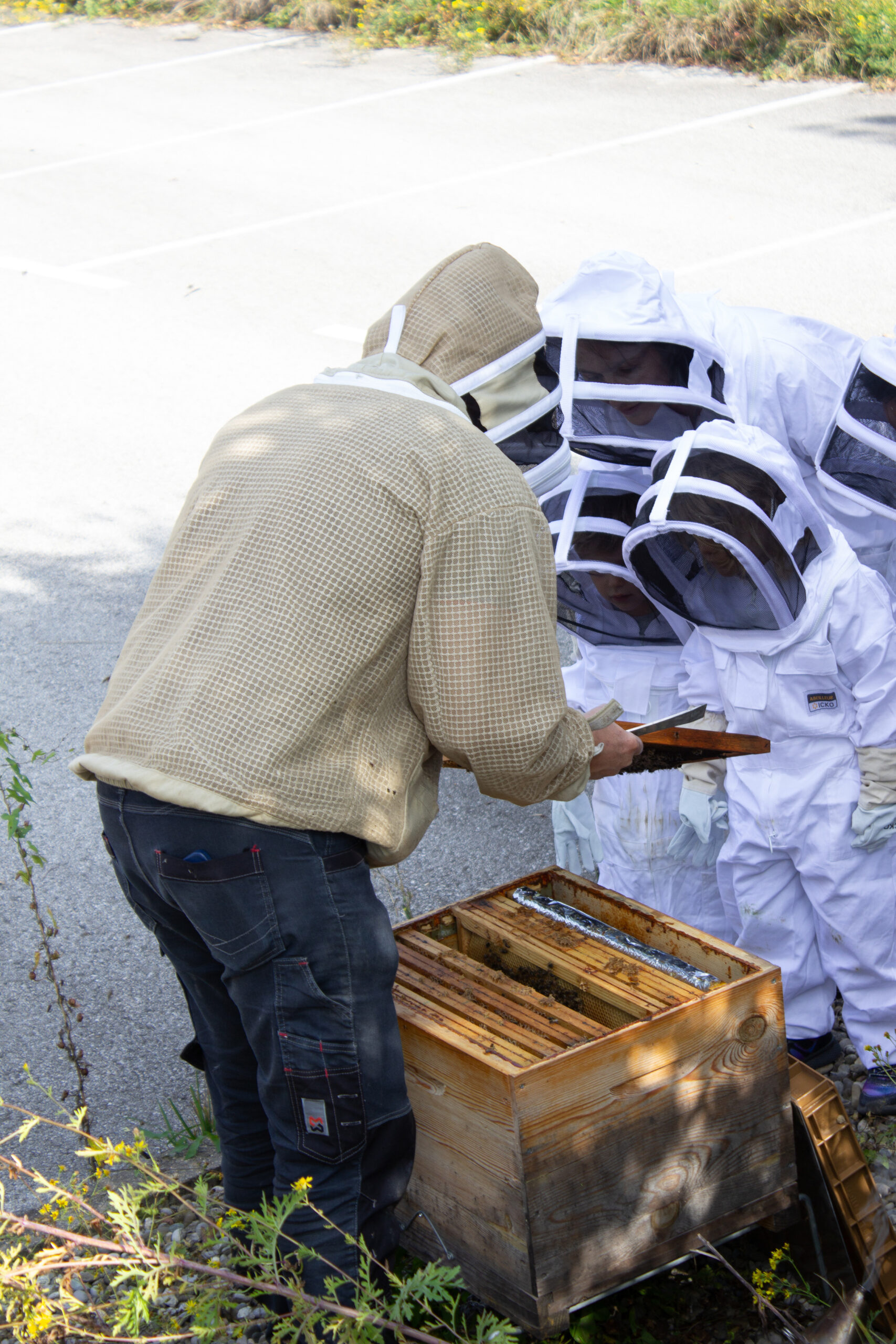 13-scaled atelier extraction du miel - Honey extraction workshop