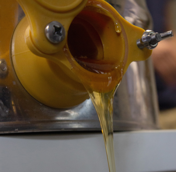 atelier-extraction-du-miel-chez-ICE-WM atelier extraction du miel - Honey extraction workshop