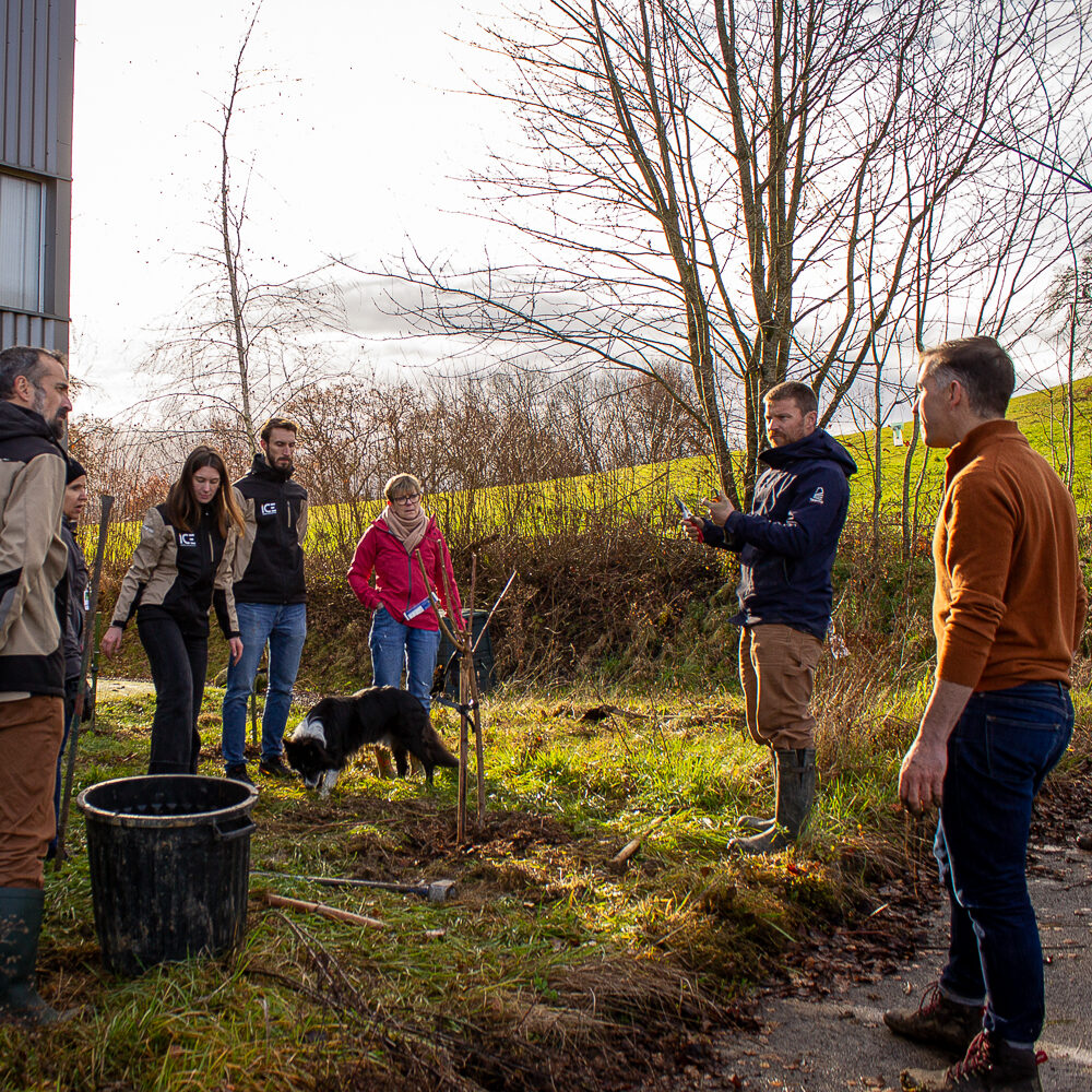 Plantation d'un verger : Collaborateur d'ICE entrain de planter des arbres et des plantes à l'arrière du batiment